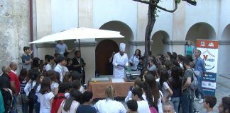 Riviera dei cedri | Studenti della comunità Ebraica Roma alle prese con “Il cedro…viaggio nella memoria”