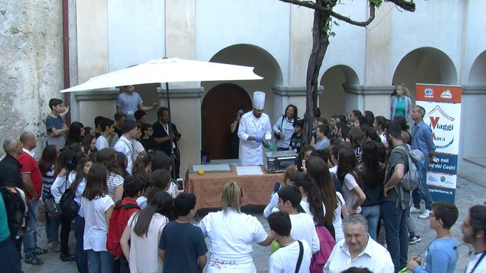 Riviera dei cedri | Studenti della comunità Ebraica Roma alle prese con “Il cedro…viaggio nella memoria”