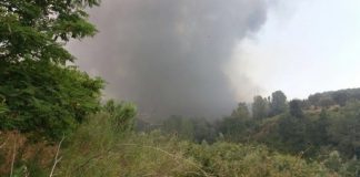 Nel Cosentino incendio devasta area boschiva e raggiunge discarica: fuoco domato ma l'aria è irrespirabile