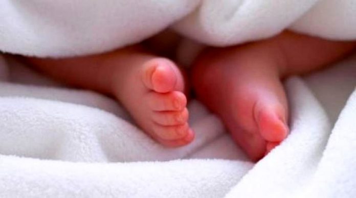 Bimba di 8 mesi lasciata all'ospedale di Cosenza, finalmente il trasferimento al Bambin Gesù di Roma