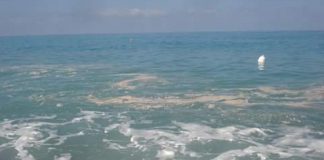 Scalea (Cs) | Mare sporco, comunicato del sindaco: 'Macchie provenienti da altri siti per correnti marine'