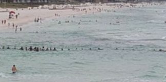 Usa, catena umana da 80 persone per mettere in salvo famiglia che stava per annegare
