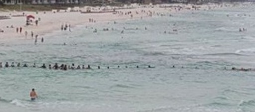 Usa, catena umana da 80 persone per mettere in salvo famiglia che stava per annegare