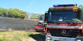 La Calabria va a fuoco da Reggio a Belvedere Marittimo, non si riesce a far fronte a tutte le richieste