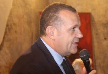 Querelle sul cedro: dalla politica ai finanziamenti, l'intervista senza veli del sindaco Ugo Vetere