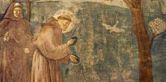 Santa Maria del Cedro (Cs) | Domani la festa per i 50 anni di sacerdozio di Padre Marcello Pronestì