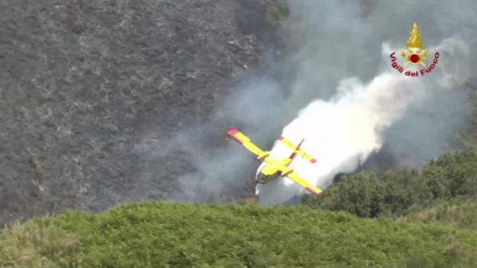 Anche oggi la Calabria flagellata dagli incendi, 6 velivoli impegnati in 22 roghi