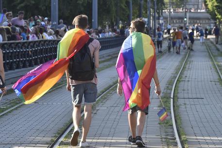 'Non affittiamo a gay e ad animali', coppia in vacanza respinta in Calabria