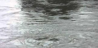 Santa Domenica Talao (Cs) | Carenza idrica, individuate delle grosse perdite d'acqua a località Cerri