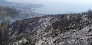 Praia a Mare, incendio al Saracinello: il video esclusivo che svela un episodio inquietante