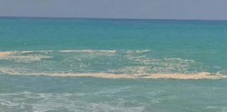Turismo calabrese, ossia, spenna che ti passa