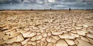 Calabria | La Sorical lancia l'allarme: 'Non piove da mesi, in provincia di Cosenza stato di siccità severa e grave'