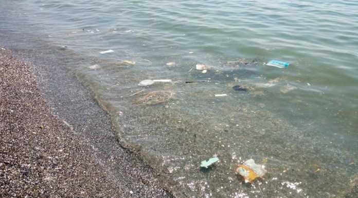 Scalea (Cs), il consigliere comunale Renato Bruno mostra le foto del mare sporco
