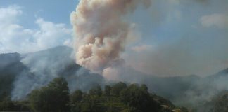 Ancora incedi sull'alto Tirreno cosentino, Tortora brucia per 'autocombustione'