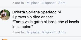 Diamante, dagli insulti a bullizzazione e minacce: «Tanto va la gatta al lardo che ci lascia lo zampino»