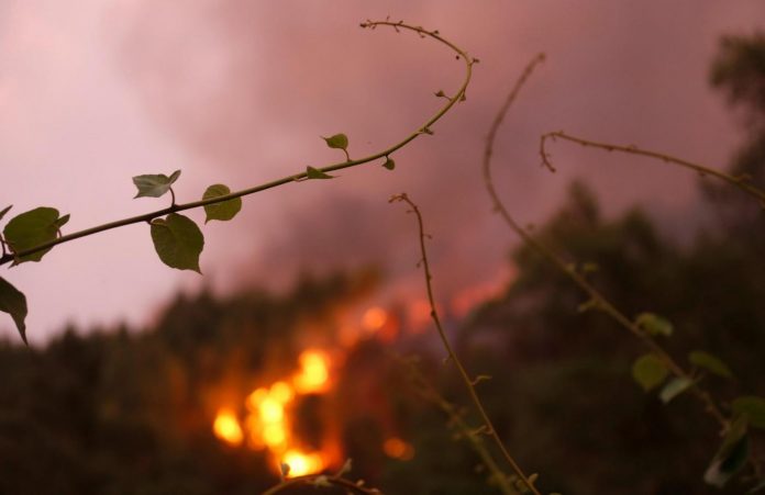 Santa Domenica Talao brucia pericolosamente e le istituzioni sovracomunali dormono