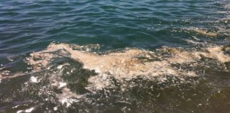 Balneazione a Scalea, l'Arpacal rileva enterococchi intestinali in altri tre punti