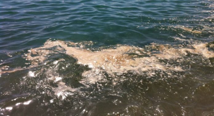 Balneazione a Scalea, l'Arpacal rileva enterococchi intestinali in altri tre punti