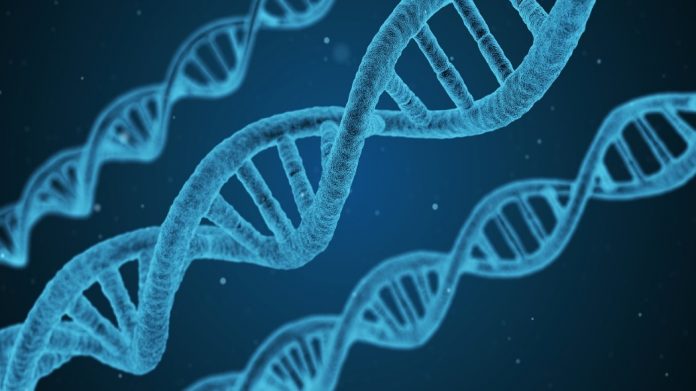 Da Wired | Gli Stati Uniti approvano la prima terapia genica contro la leucemia