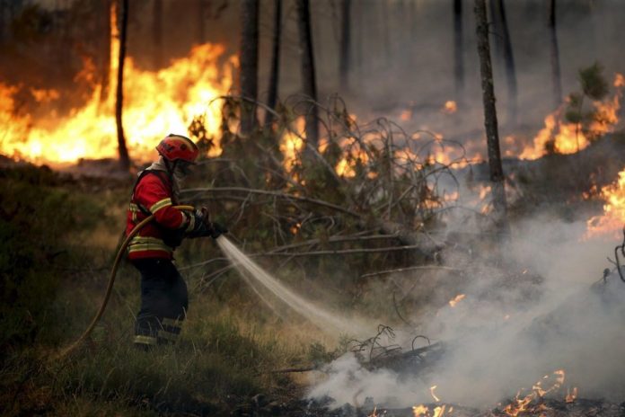 Incendi a Castiglione Cosentino, l'accorato appello del capogruppo Pd Francesco Librandi