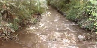 [VIDEO] Scarichi abusivi, a Santa Maria del Cedro il fiume Abatemarco diventa marrone