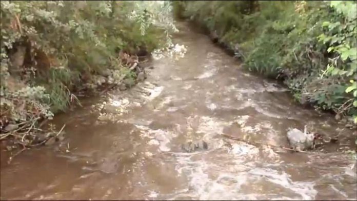 [VIDEO] Scarichi abusivi, a Santa Maria del Cedro il fiume Abatemarco diventa marrone