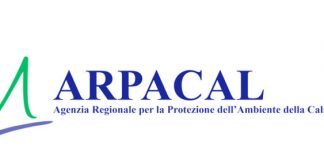 Belvedere, Arpacal: «Valori nella noma, tratto interdetto ritorna idoneo alla balneazione»