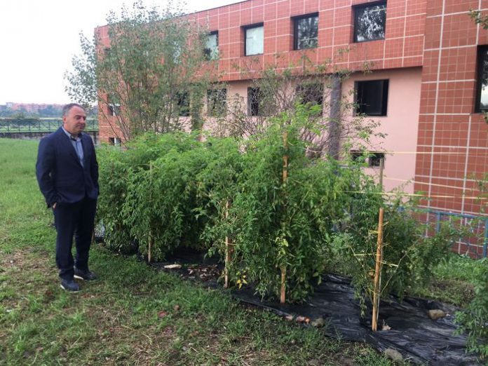 Studenti indisciplinati? Domenico Balbi i suoi li manda a zappare la terra