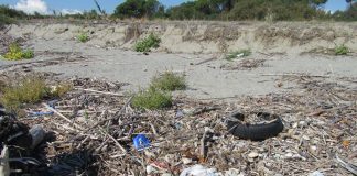 Spiaggiamento rifiuti a Catanzaro e Borgia, Arpacal raccoglie dati per studio del fenomeno