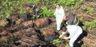 Calabria, trovati 25 bidoni sotterrati: la Procura avvia le indagini