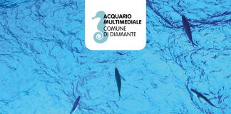 Diamante, Cauteruccio: «Si ritirino atti e comunicazioni per la gestione dell'Acquario Multimediale»