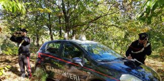 Campana (Cs), ritrovato dai carabinieri anziano scomparso da una casa di riposo