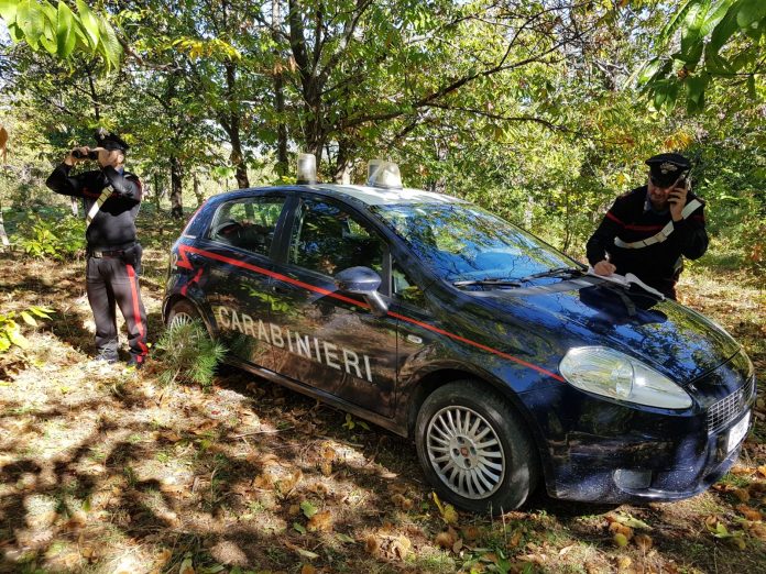 Campana (Cs), ritrovato dai carabinieri anziano scomparso da una casa di riposo