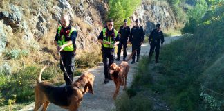 Da due giorni non si hanno più notizie di un anziano scomparso in Calabria