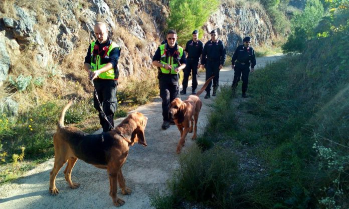 Da due giorni non si hanno più notizie di un anziano scomparso in Calabria
