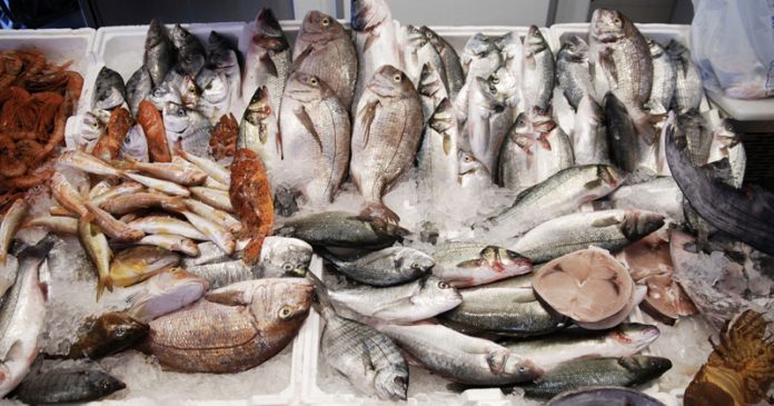 [INTERCETTAZIONI] Ecco come il boss Franco Muto controllava la 'concorrenza' dei supermercati