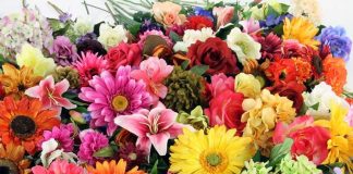 2 novembre, la truffa dei fiori per i defunti: Codacons denuncia business del caro estinto
