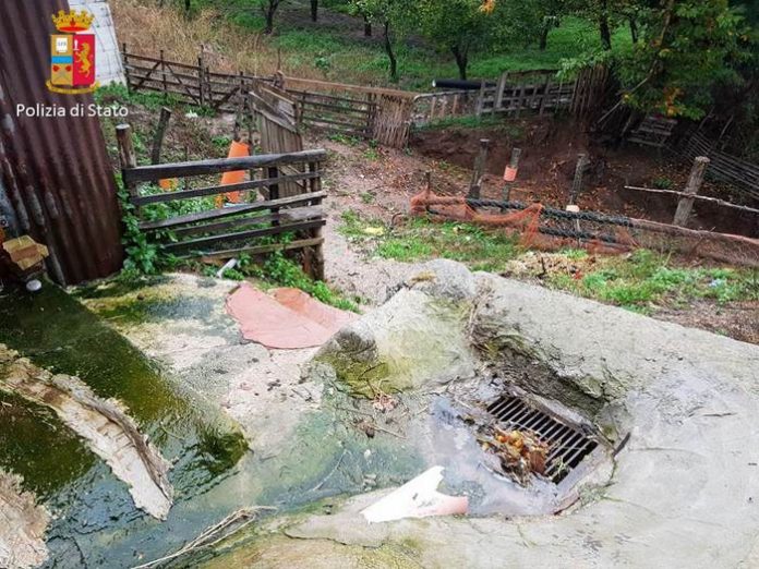 Calabria: acque reflue nel fiume, chiuso allevamento