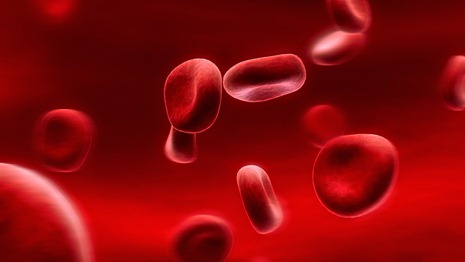 All'ospedale di Cosenza manca sangue 0 rh nagativo: l'appello dei medici ai donatori