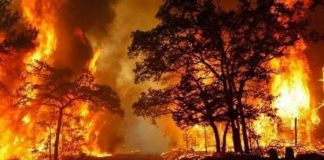 Incendi, prima che arrivi il peggio