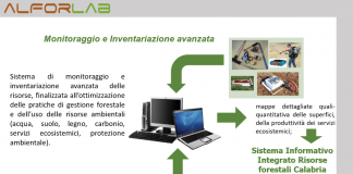 Foreste, da Alforlab gli strumenti per una gestione ottimale e la prevenzione degli incendi