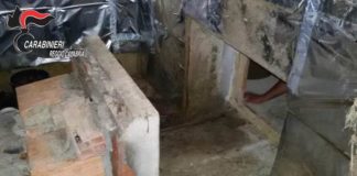 Platì, bunker adibito a serra della droga nella cantina di un casolare