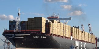 A Gioia Tauro la Msc Maya, tra le più grandi navi che abbiano mai toccato l'Italia