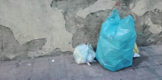 Lettera alla redazione: «A Tortora in zona Rosaneto costretti a vivere tra rifiuti e degrado»