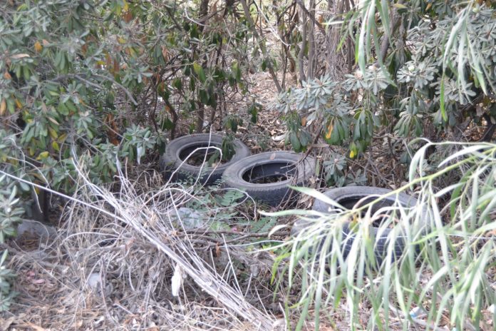 Lettere alla redazione: «L'area frangivento di Scalea è una vergognosa discarica a cielo aperto»