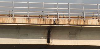 Ponte di San Nicola Arcella, Italia Nostra scrive all'Anas