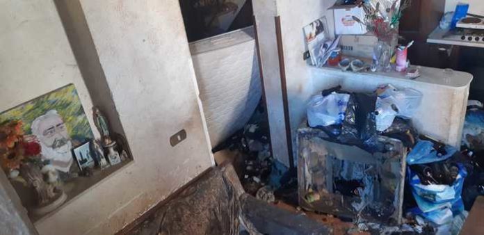 Cani denutriti, salvati dai vigili di Reggio Calabria