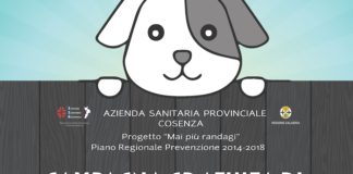 Asp Cosenza, il 3 ottobre via al progetto 'Mai più randagi'