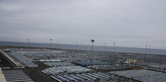 Nuove assunzioni al porto di Gioia Tauro