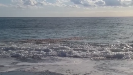 Assegnata la Bandiera Blu a Praia a Mare (Cs). Ma quali sono le reali condizioni del mare?
